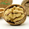 Chinese new corp high quality nuts shelled walnuts on sale price