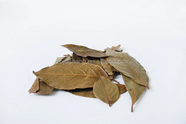 Single Spice Chinese Bay Leaves For Sale Buy Chinese Bay Leaves,Bay