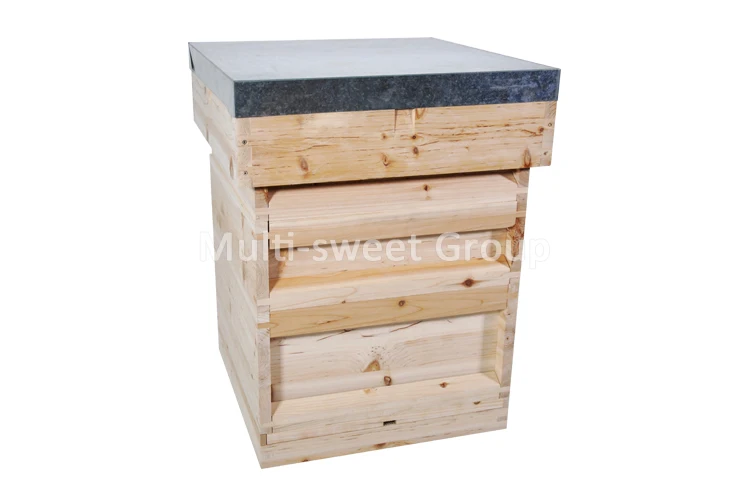 NATIONAL BEEHIVE.jpg