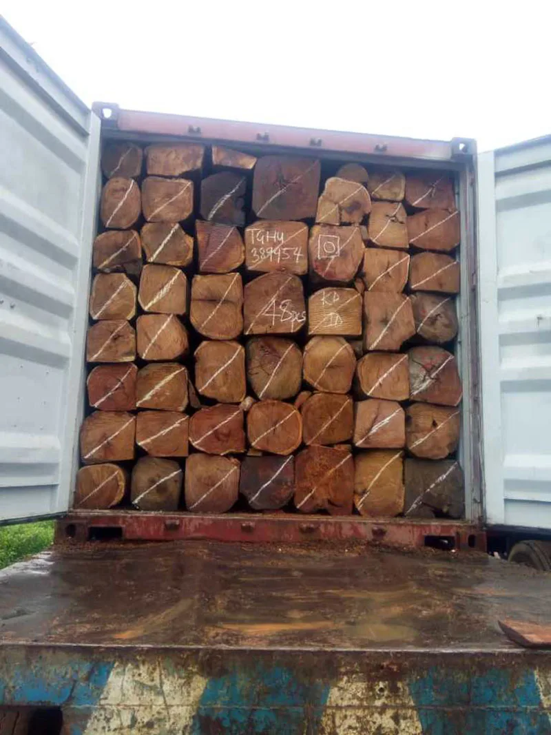 Cheap kosso / Sapelli / Tali / Teak / Pachyloba Wood Logs