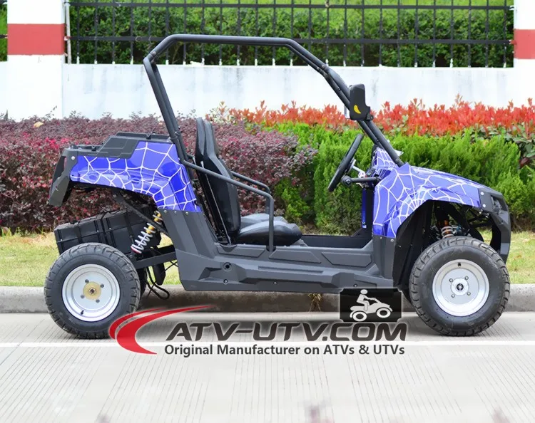 Utv 1000cc 1000w Electric Utv 2 Seats 2wd Or 4wd 4x4 Epa Dot Eec Coc