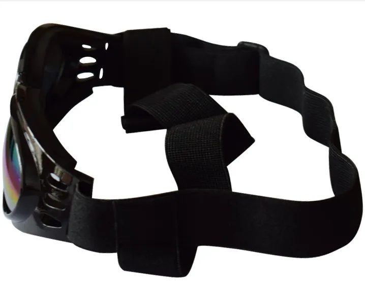 new dog sunglasses.JPG