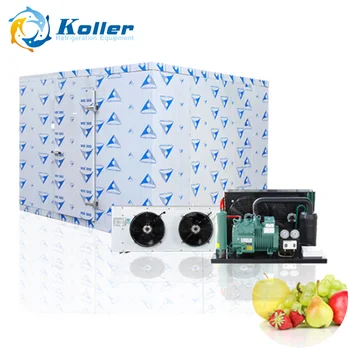 Koller Small Cold Storage Room With New Technology For Frozen Beef Koller Small Cold Storage Room With New Technology For Frozen Beef Meat In Philippines