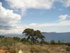Parcel of 4,430m2 outside the city plan next to the sea in Lefkada