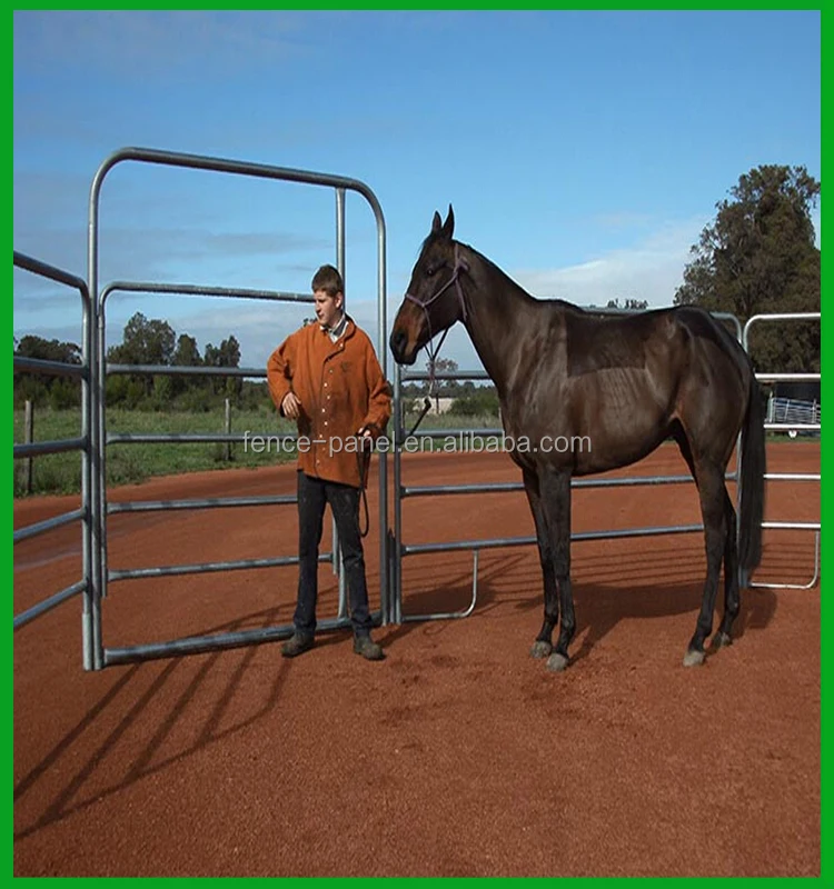 Livestock Hay Feeder For Cattle And Horse Corral Feeder Buy Hay