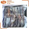High Quality New Arrival Frozen Illex Argentina Squid