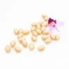 Improve Gastrointestinal Function and Capsules Dosage Form Garcinia Cambogia weight loss diet pills wholesale private label