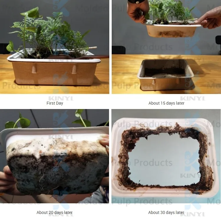 biodegradability with watermark