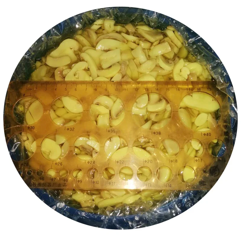 Preserved champignon mushroom.jpg