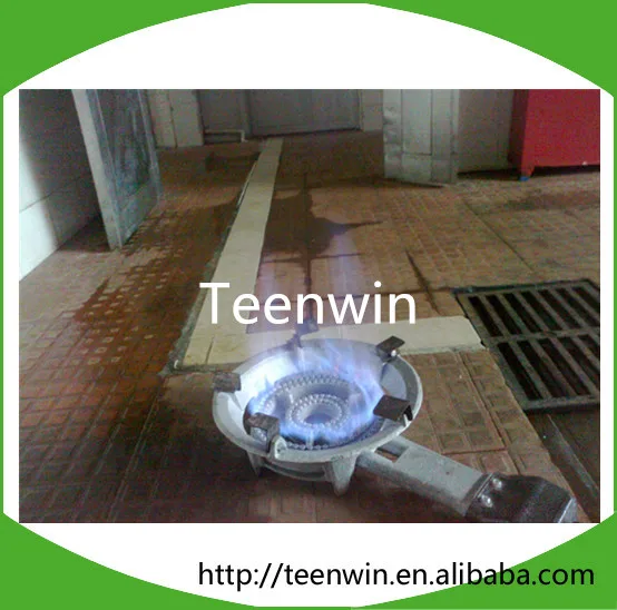 Teenwin Biogas Appliances/biogas Equipment/bio Gas Stoves For Biogas