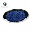Exclusive Blue Colour Masterbatch Offer for Extrusion, Injection, Blown Film