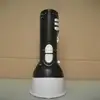 Fashion Functional Portable Megaphone for group