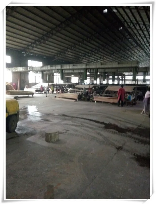 0.3mm natural wood veneer 0.3mm nature gurjan wood veneer /keruing laos