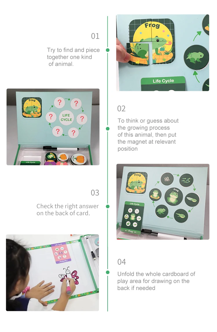 Plant and Animal Magnetic Puzzle Educational Kids Toys Life Cycle Puzzle details