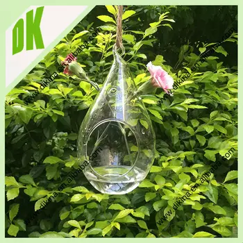 Can Put Dried Flower Succulents Water Plants And Air In It Can Put Dried Flower Succulents Water Plants And Air In It Whole Hanging
