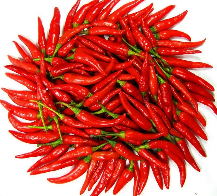 Purity Chilli Pepper Extract Capsicum Capsicin 0.599 Capsaicinoids