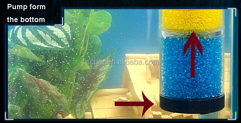 How to Use Box/Corner Filters in an Aquarium - PetHelpful