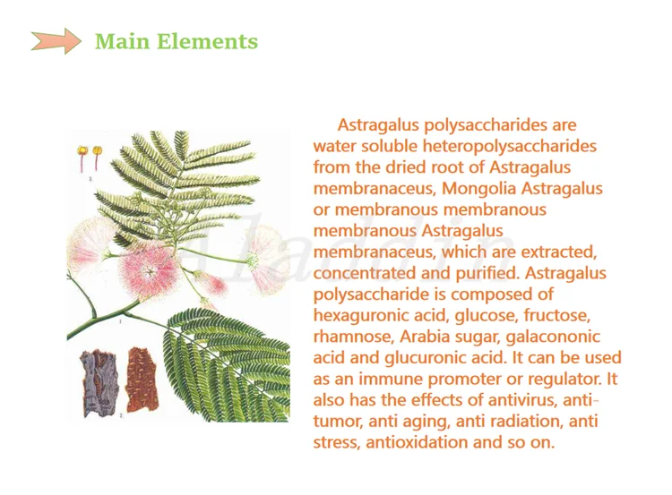 Halal Factory Supply Wholesale Silktree Cortex Bark Extract