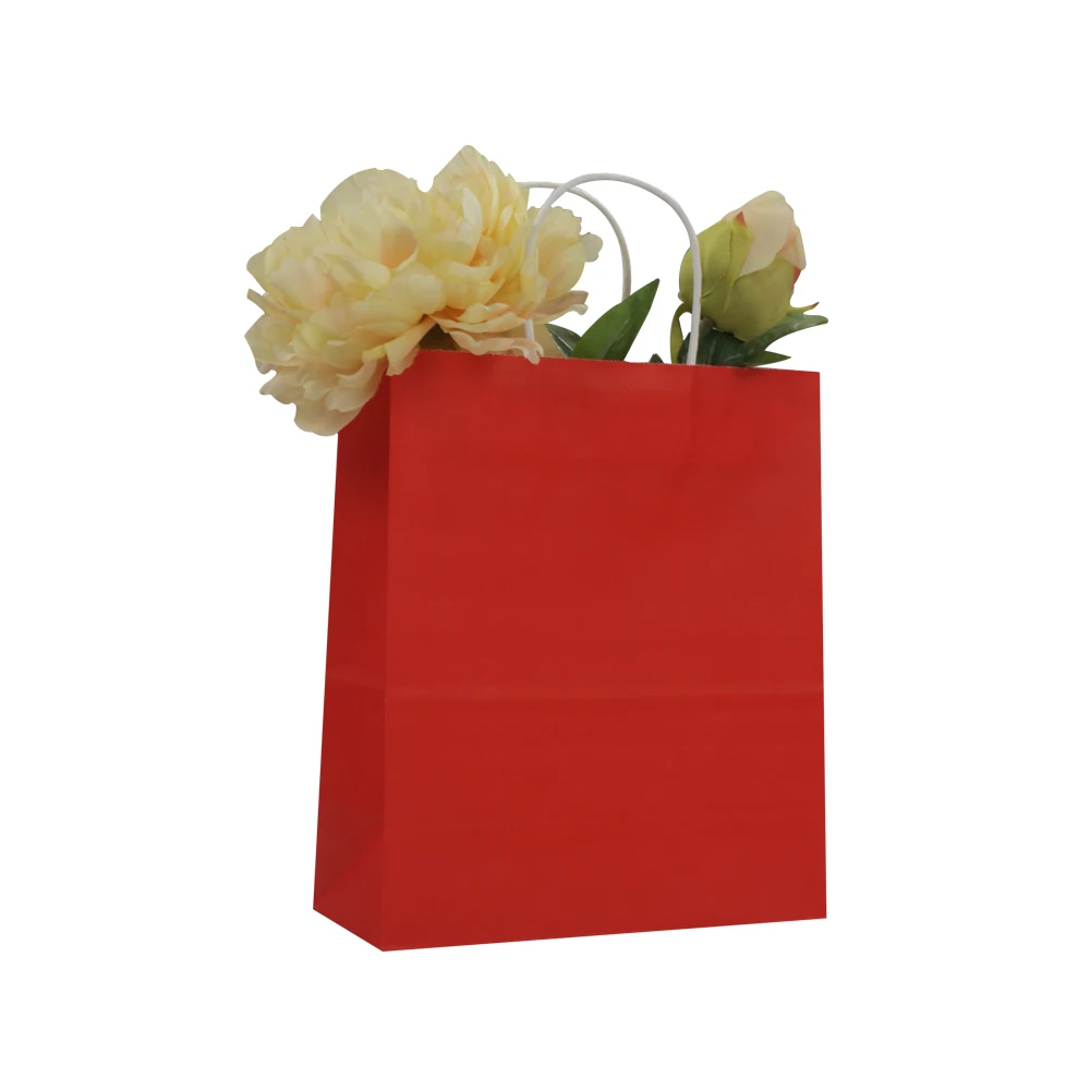 Jialan personalized paper bags-14