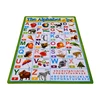 Traffic tools knowing 3D embossed PVC wall chart with factory price