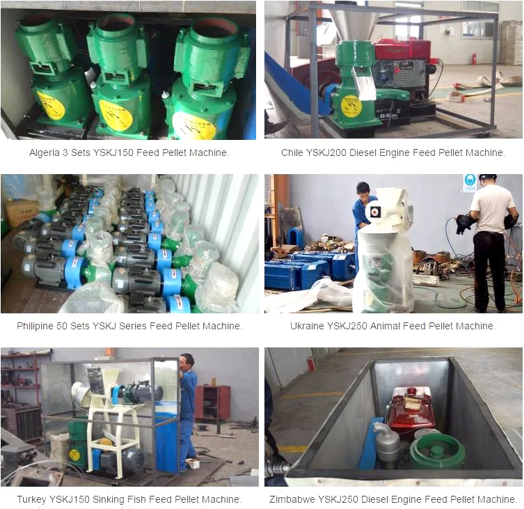 Experts in Manufacturing and Exporting Animal Feed Or Wood Pellet mill