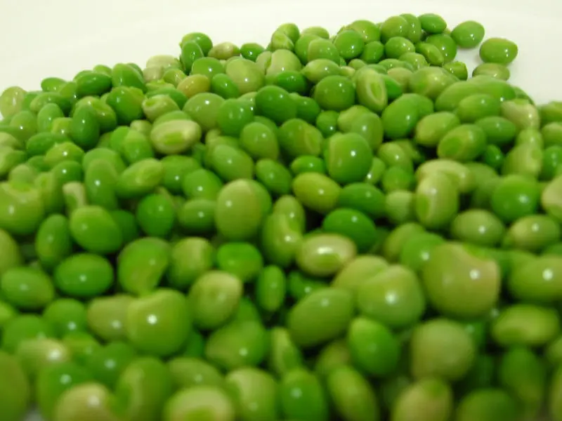 
Gandul verde en Salmuera 