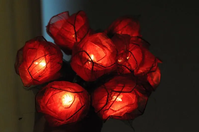Flower Rose Home Craft Garden Indoor Outdoor String Light Garden Indoor Outdoor String Light