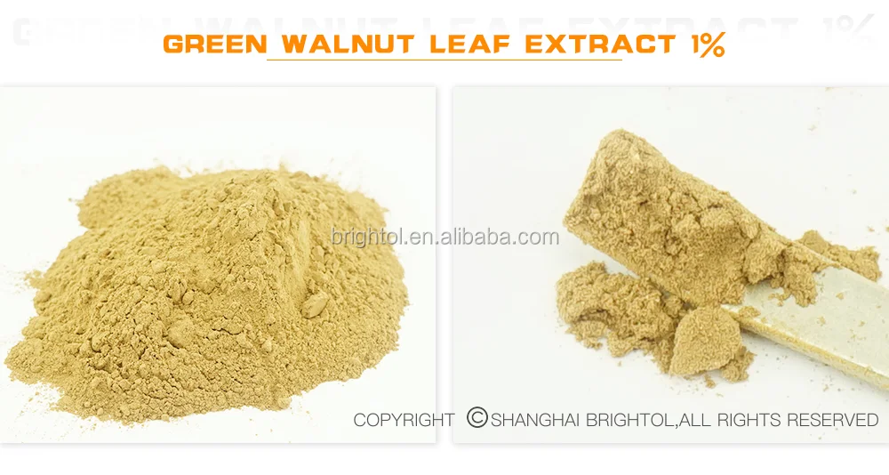Gmp Supplier Green Walnut Leaf Extract 1 Flavones Fetu Nucis Folium