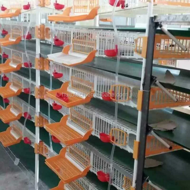 Quail Farm Production Line Automatic Plastic Quail Cage Hjqc400b Buy