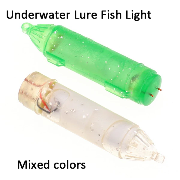 Fish light.jpg