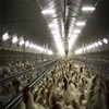 low cost design modern prefab poultry building chicken farm house