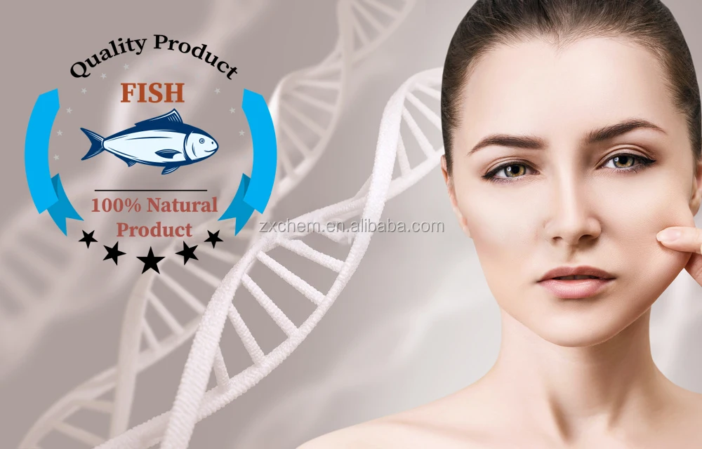 Fish collagen-ZXCHEM.jpg