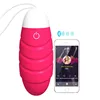 APP Mobile phone controlled vibrating egg vibrator with wireless remote control