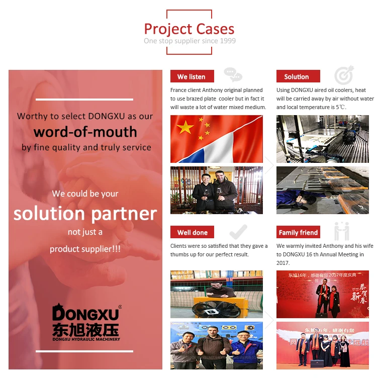 High speed small 220v customized electric 12v dc hydraulic power pack unit