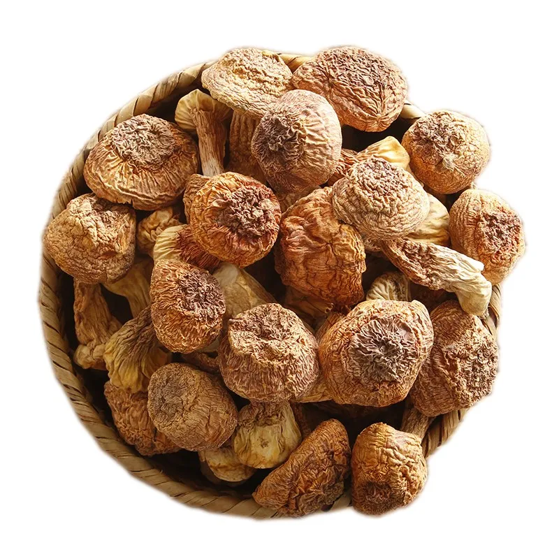 12008 Songrong Hot Sale Wild Dried Matsutake Mushroom Price Buy