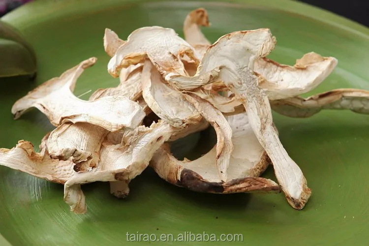 冷冻干白松茸松茸干松茸蘑菇价格最好的松茸 Buy Matsutake Matsutake 蘑菇价格 Trioma Matsutake Product On Alibaba Com