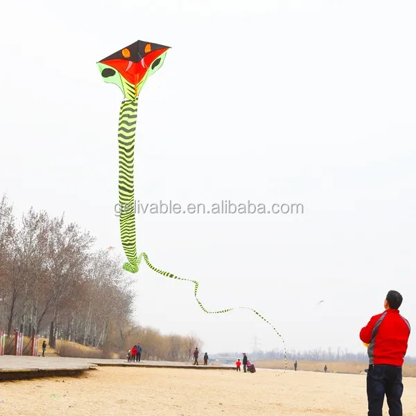 Details about   3D fly a kite 60 meters large breeze Weifang Kite Kite Software snake 