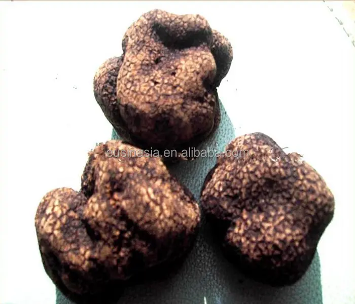 Dried Chinese Truffle Black Truffel Buy Dried Truffel,Chinese Truffle