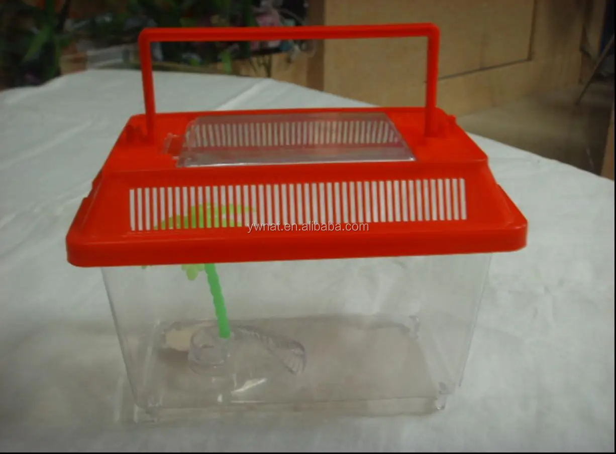 Plastic Insect Box Collecting Insect, Carrying for Children, View