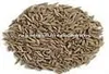 CUMIN SEEDS