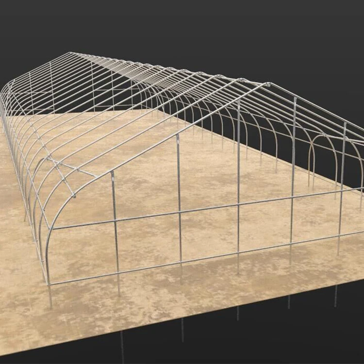 New Design Singlespan Greenhouse For Vegetables,Plastic Greenhouse