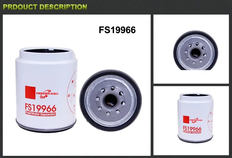 FS19966