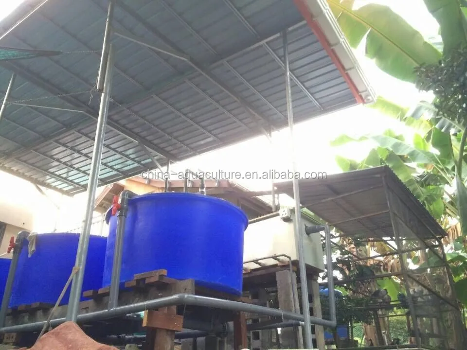 indoor ras recirculating aquaculture system - buy