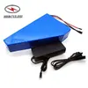 Lithium Battery 52V 20Ah / 25Ah / 30Ah E-Bike Li-Ion 18650 Triangle Battery Pack For Ebike