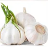 /product-detail/2019-fresh-garlic-for-sale-62018354688.html