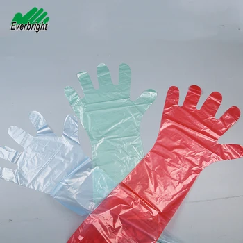 veterinary gloves