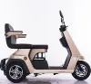 2018 New style for the disabled and body passengers tricycle electric motorcycle three wheel