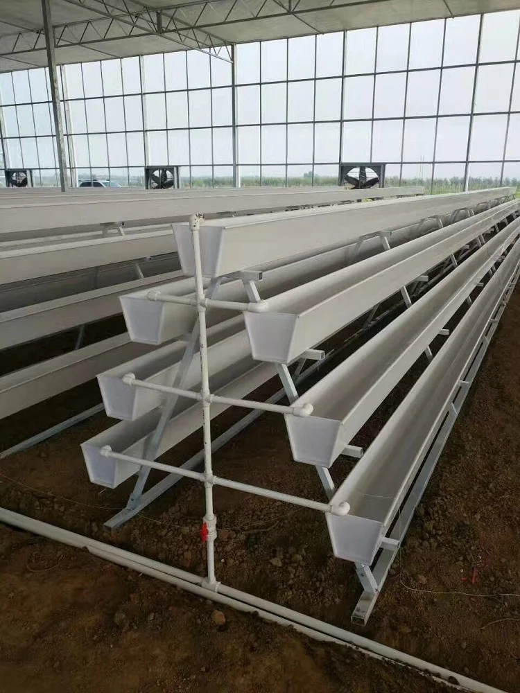 Strawberry Grow System 1.jpg