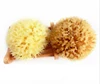 100% Natural eco-friendly Sea Sponge Bath Sponge