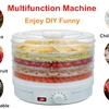 Professional electric durable mini vegetable fruit dehydrator dryer